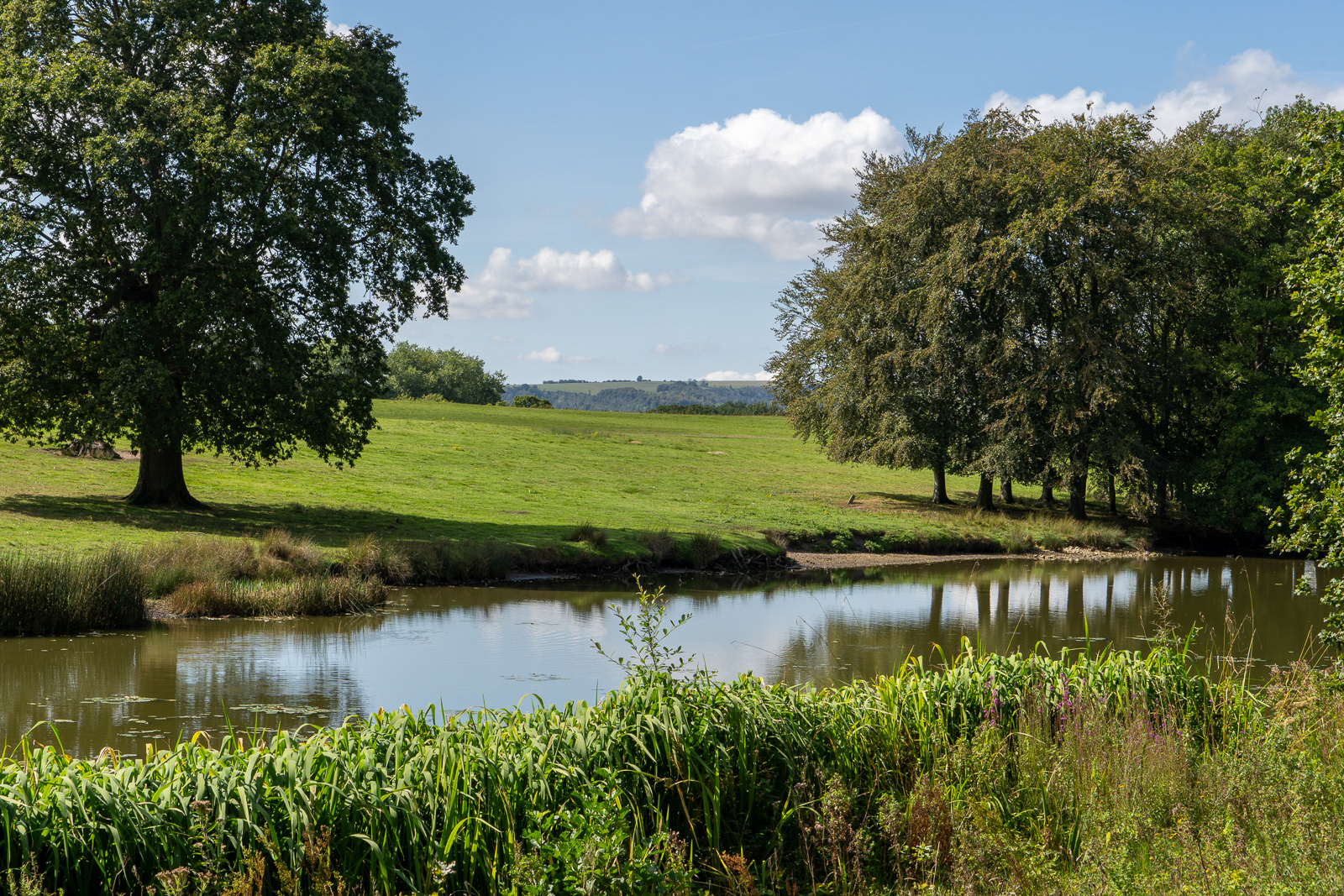 Photography by Chris Allington
